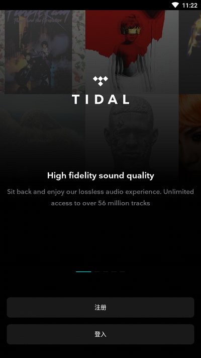 TIDAL安卓版