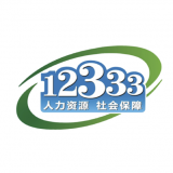 掌上12333社保自助认证安卓版