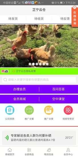 芷宁云仓汉化版截图4