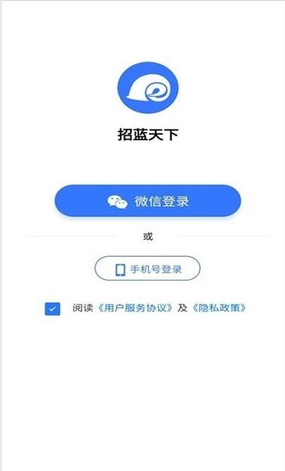 招蓝天下完整版截图2