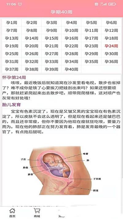 孕婴安免费版截图3