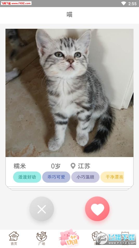 猫咪汇