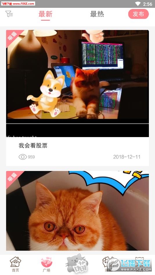 猫咪汇官方版截图2