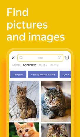 Yandex搜索引擎安卓版截图2