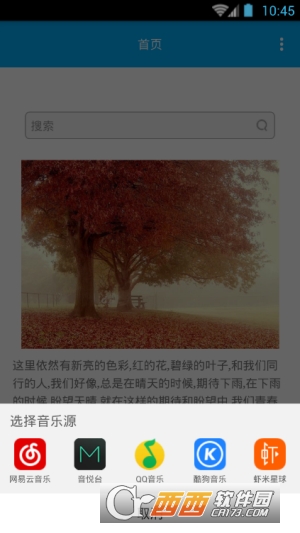 音乐助手ios版截图2