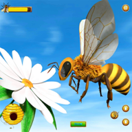 蜜蜂昆虫官方正版