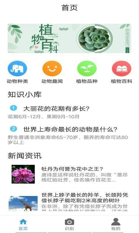 桃桃识植物破解版截图2