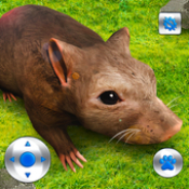 老鼠模拟器2022网页版