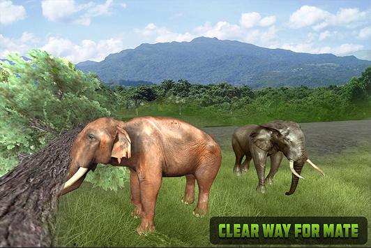 野生大象家庭模拟器正式版截图2