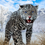野生雪豹模拟器官方正版