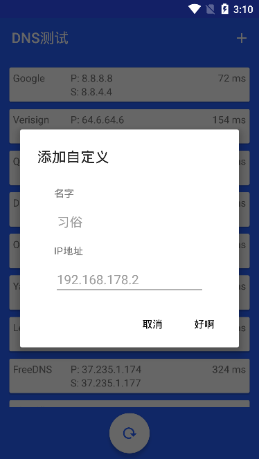 DNS测试去广告版截图3