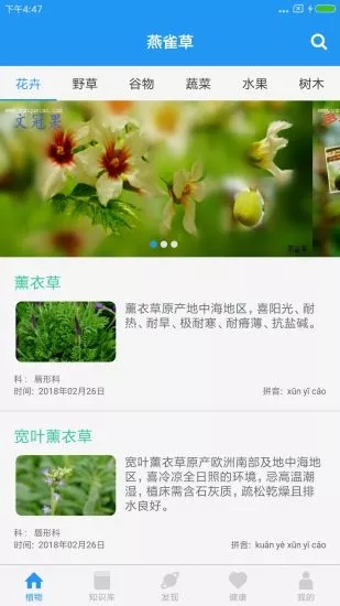 燕雀草正式版截图4