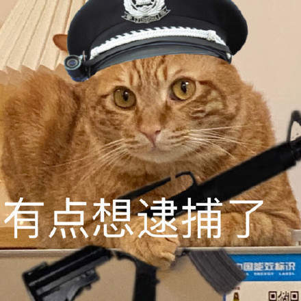 猫咪警察表情包ios版截图2