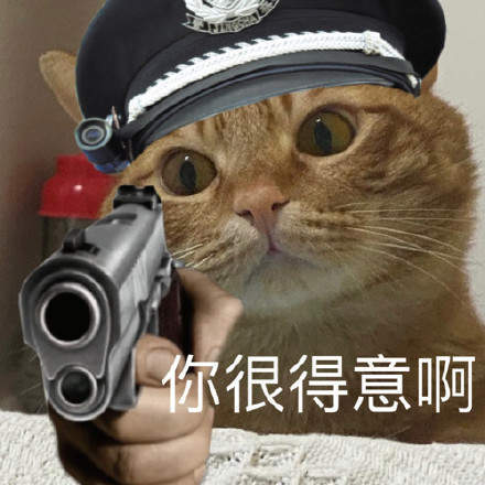 猫咪警察表情包ios版截图3