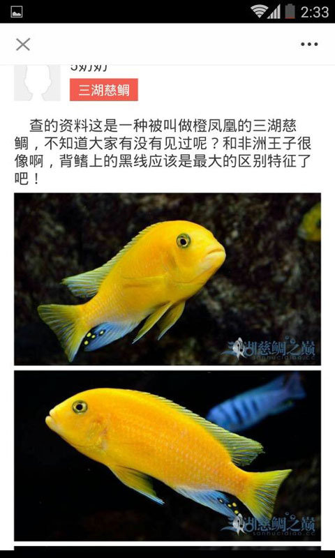 南美水族论坛手机版