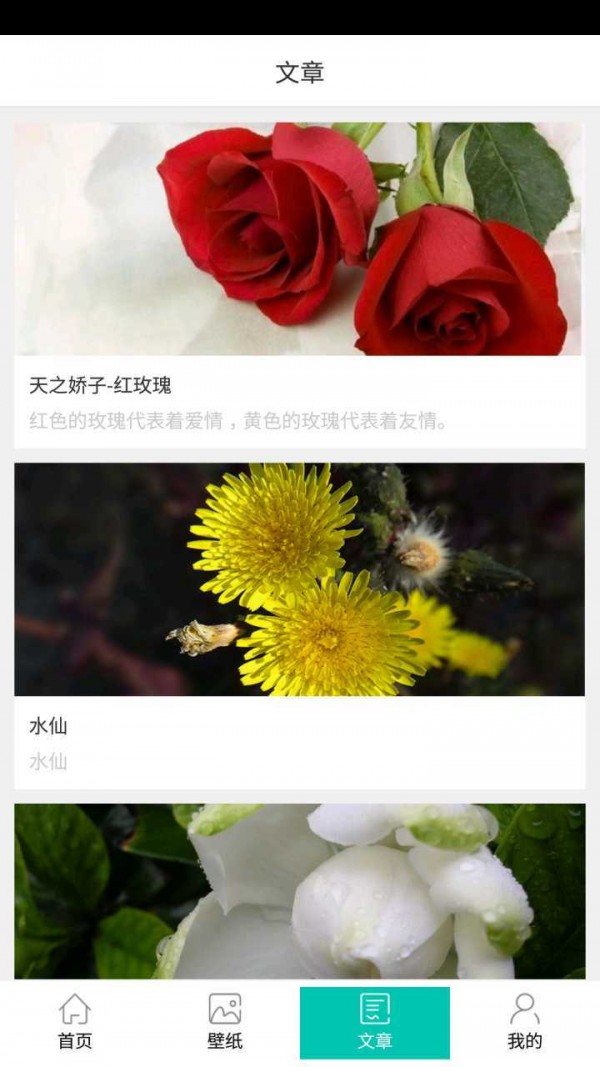 拈花惹草无限制版截图3