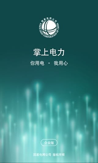 掌上电力企业版截图3