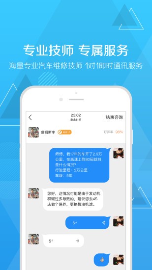 车问答网页版截图4