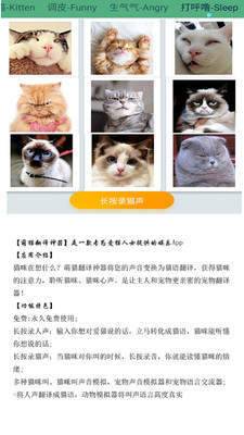 萌猫翻译神器官方正版截图4