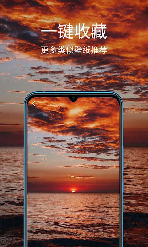 掌上聚合手机壁纸官方版截图3