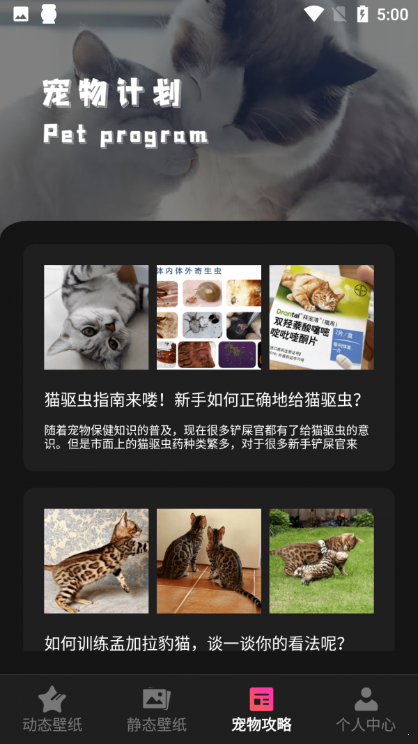 猫咪壁纸官方正版截图1