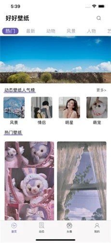 鹦鹉螺壁纸精简版截图3