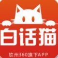 白话猫精简版