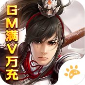 帝星战魂GM满V万充版