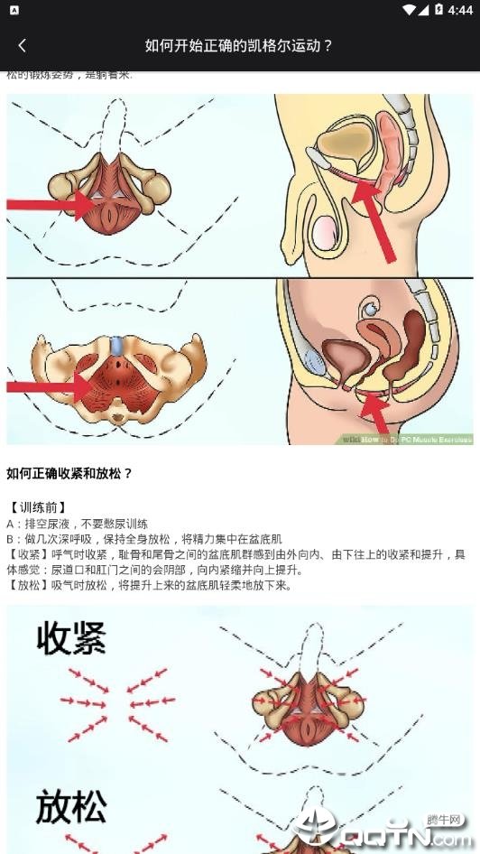 Mr.Up无限制版截图4