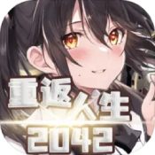 重返人生2042游戏精简版