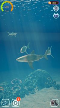 鲨鱼海洋安卓版截图3