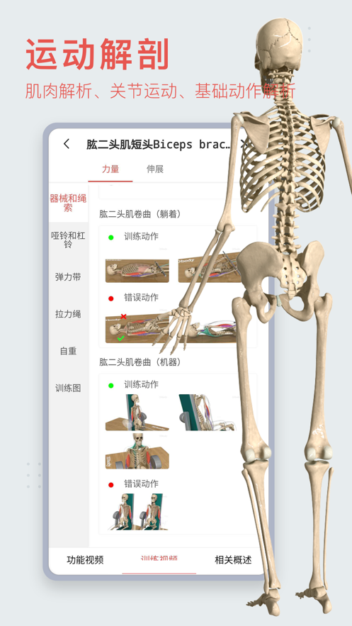 3dbody解剖图在线版