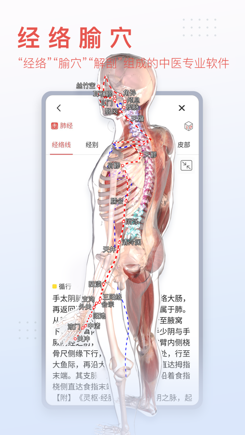 3dbody解剖图在线版