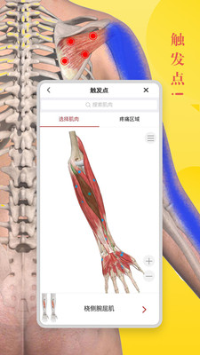 3dbody解剖学官方版