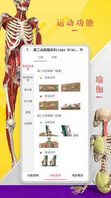 3dbody解剖学官方版