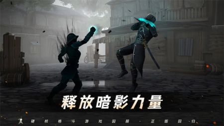 2024暗影格斗3下载中文版最新版截图3